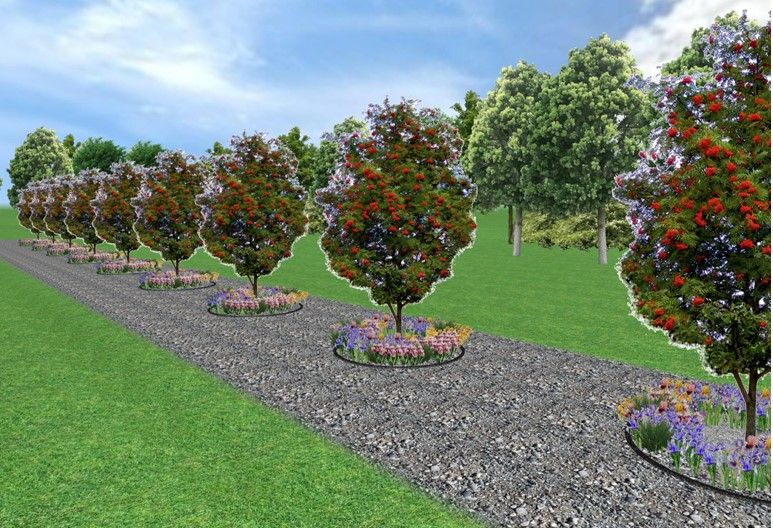 «Цветущий район» за 1,4 миллиона в Кривом Роге «Цветущий район» за 1,4 миллиона в Кривом Роге