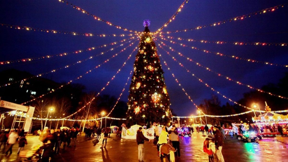 В Днепре горсовет заказал новогоднюю елку для парка Глобы за миллион гривен: какой она будет