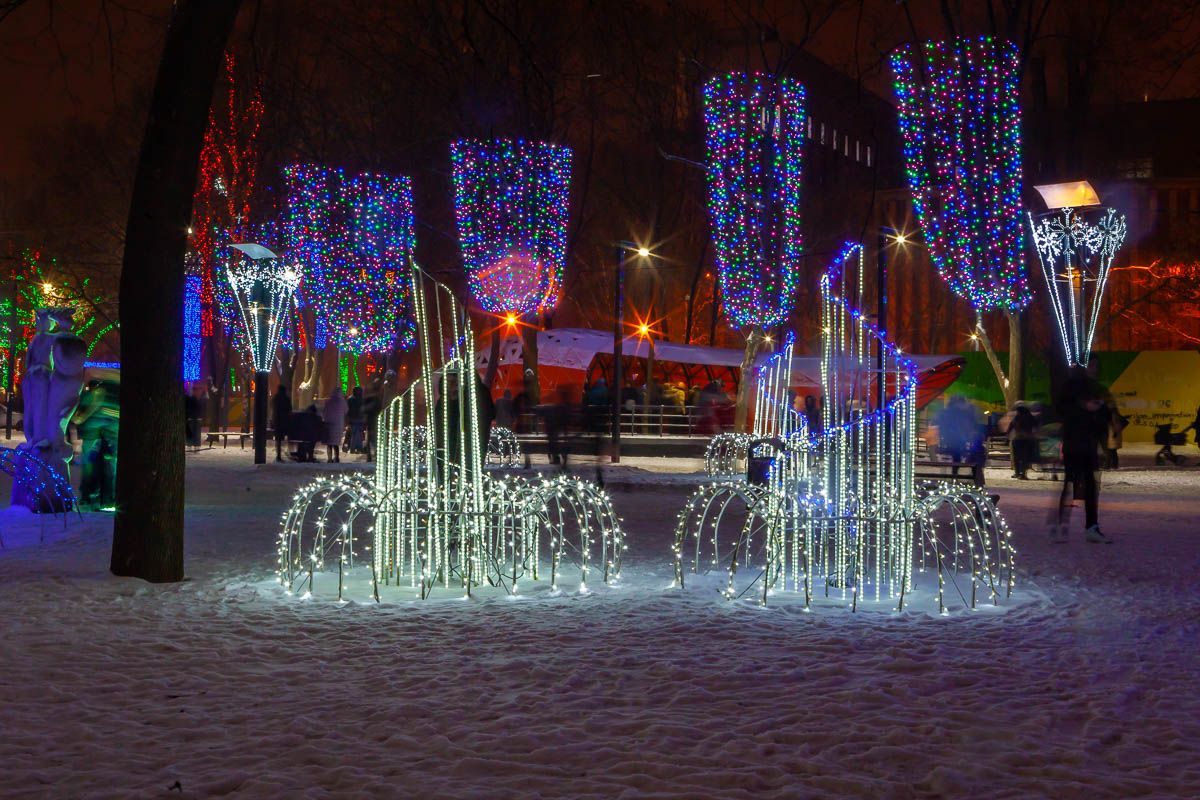 Как в Днепре украсят парки к Новому году за 2,2 миллиона гривен 1