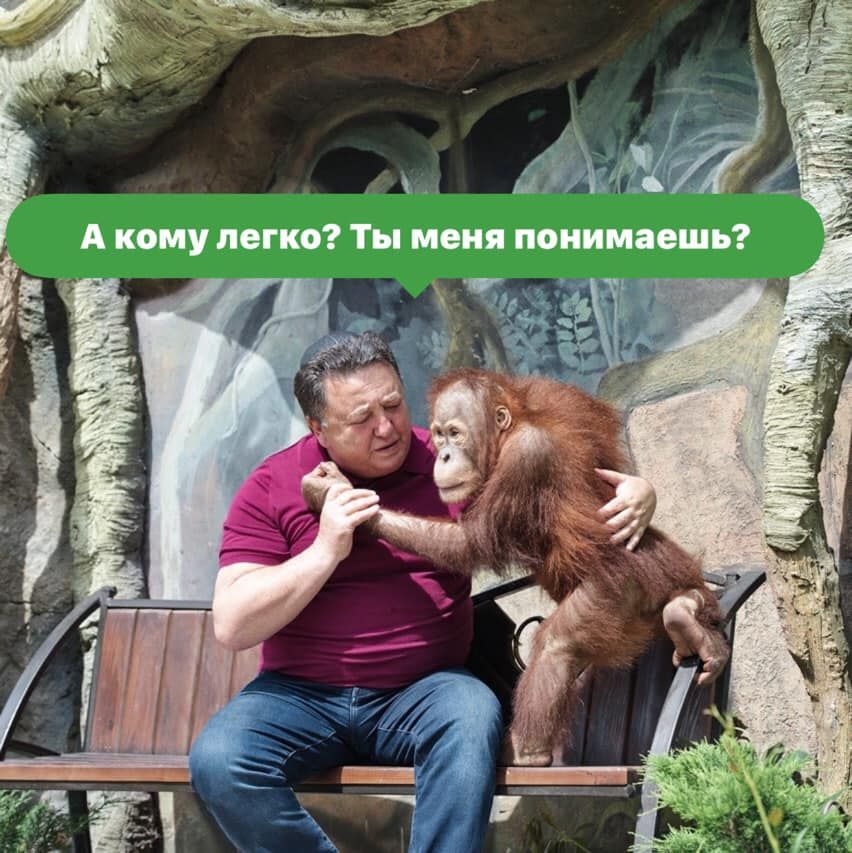 Александр Фельдман рассказал, когда и при каких условиях начнется строительство ЭкоПарка на Днепропетровщине 1