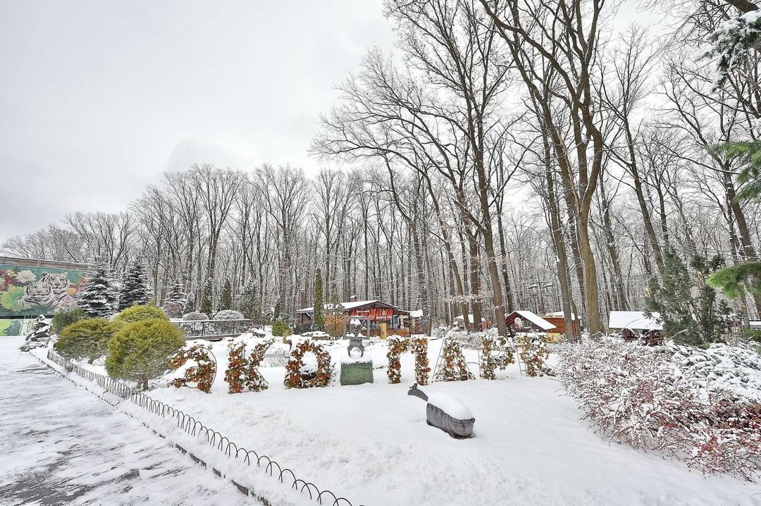 Александр Фельдман рассказал, когда и при каких условиях начнется строительство ЭкоПарка на Днепропетровщине 2