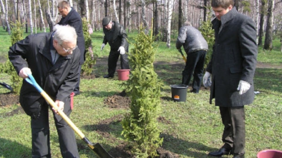 В Кривом Роге озеленят город за 93 миллиона: что сделают