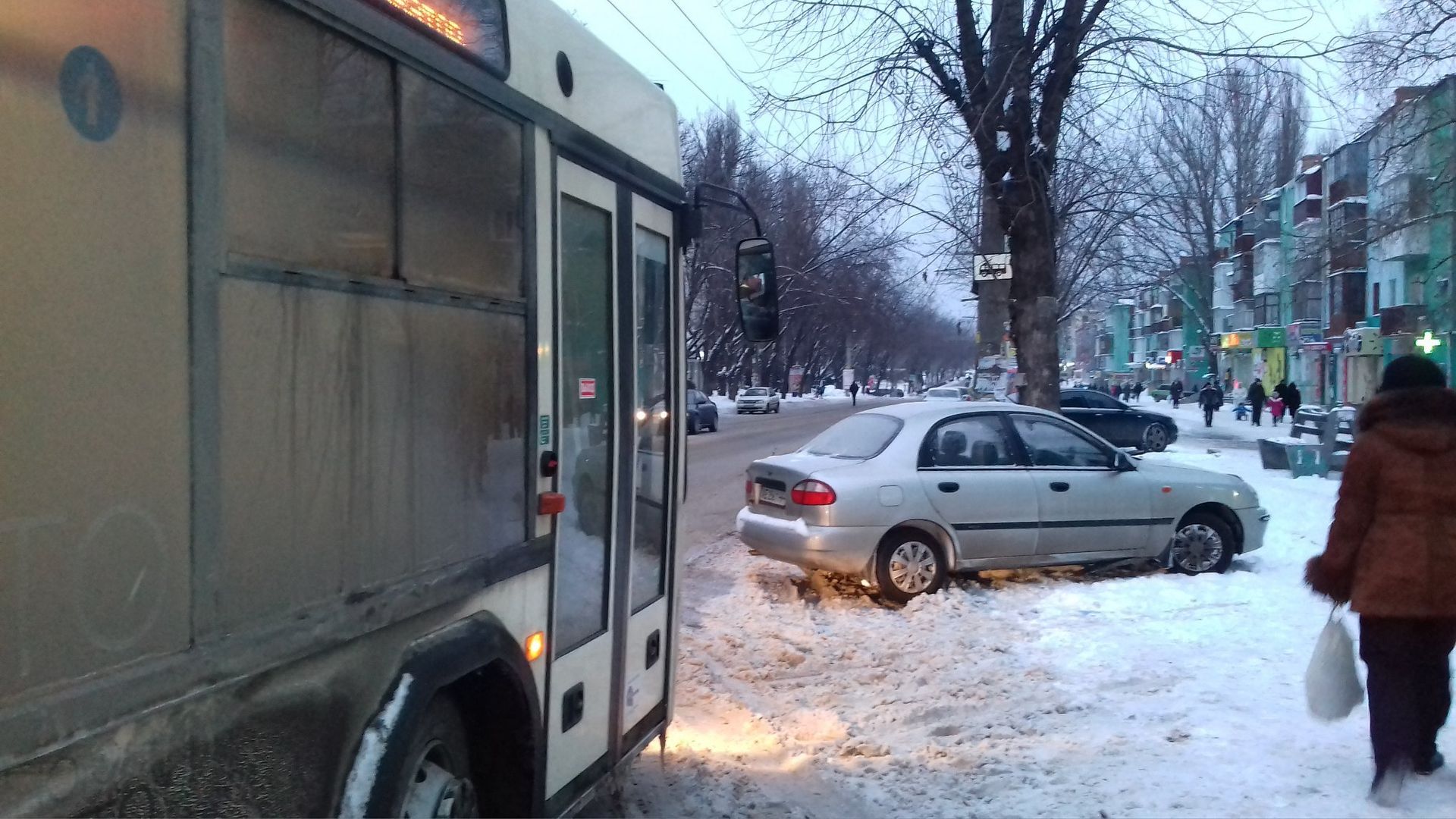 Маршрутки, дороги, школы и животные: с чем в Кривом Роге обращаются в петициях властям 3