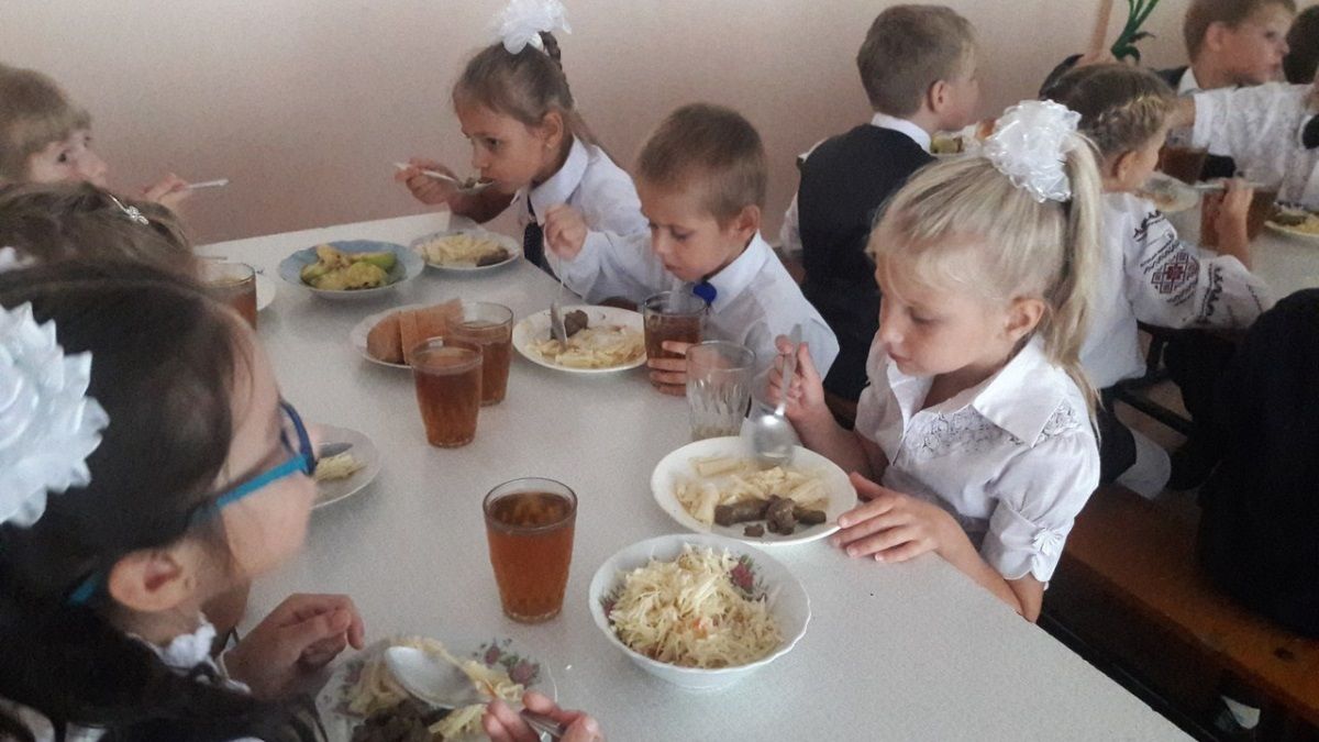 Сговоры и «семейные подряды»: кто в Никополе греет миллионы на питании школьников