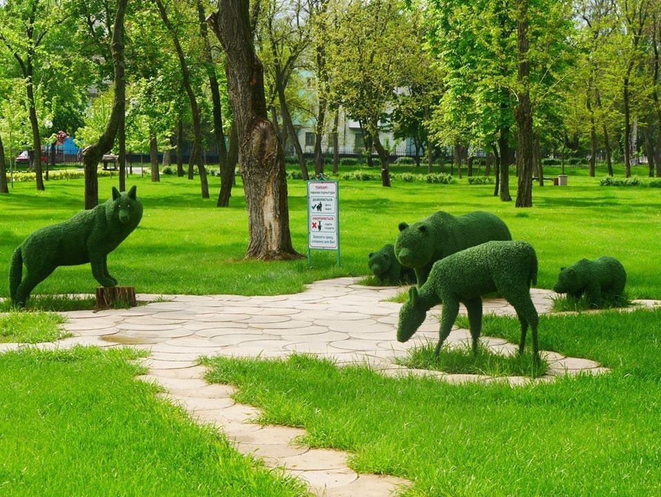 Убийство предприятий, тендеры своим и прекрасные парки: как работает мэр Покрова Александр Шаповал 10