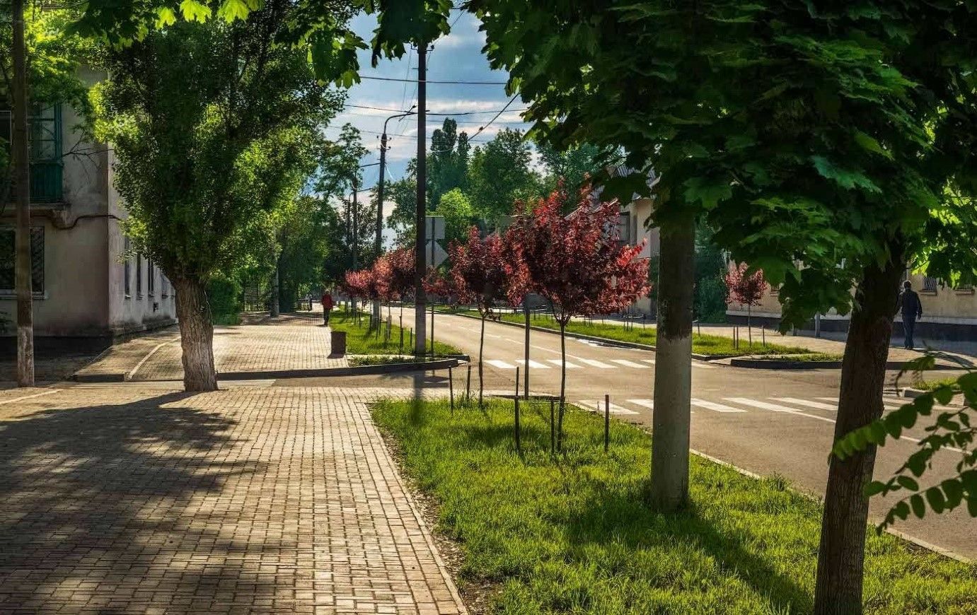 Убийство предприятий, тендеры своим и прекрасные парки: как работает мэр Покрова Александр Шаповал 13