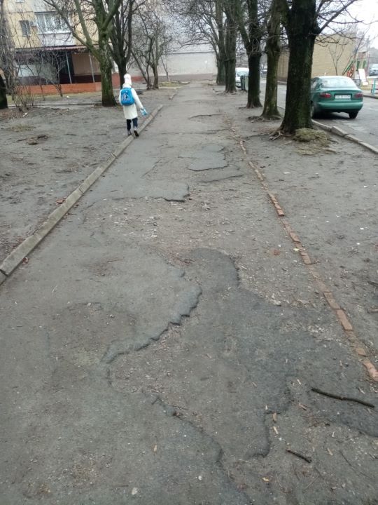 Ремонт дорог, скульптур, парк Бандеры и транспорт: что в Днепре просили у Филатова за месяц 1