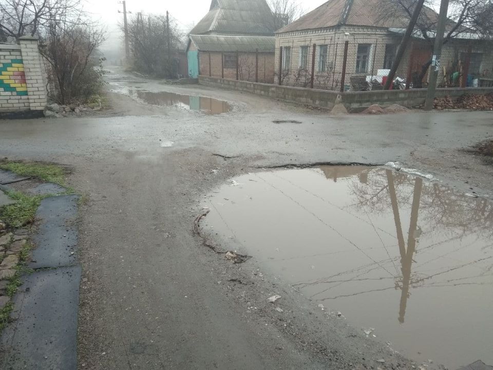 Дороги, полумарафон, крематорий и котики: что просили у мэрии Кривого Рога за месяц 3