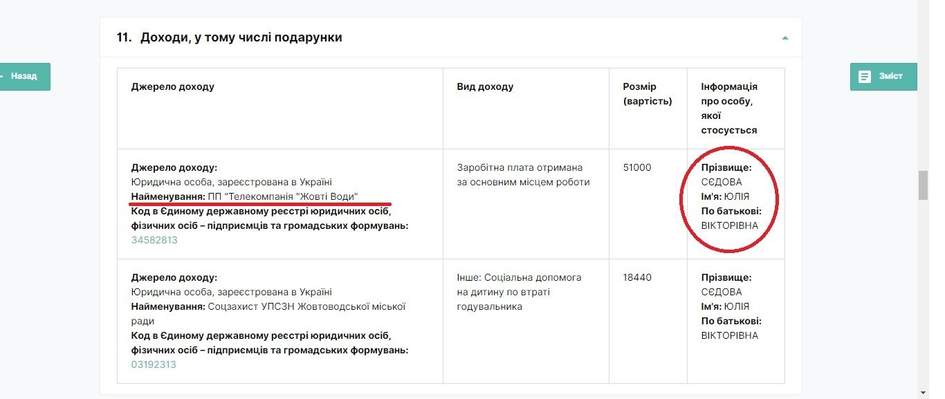 Мэрию Ханиса в Желтых Водах будет пиарить фирма депутата горсовета: сколько ей заплатят 2