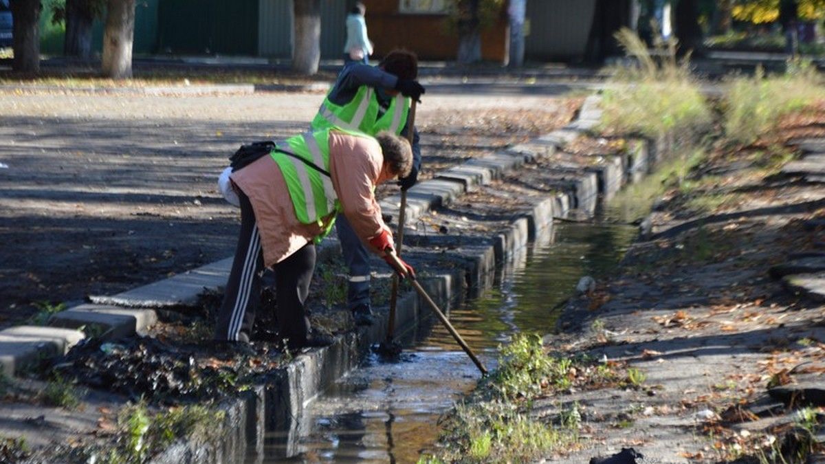 1000 баксов зарплаты директора и фирмы с уголовкой: как в Никополе работает парковое хозяйство