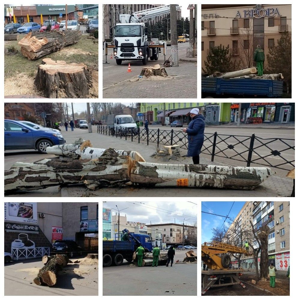 Игнор, бессилие, проспали: за что в Кривом Роге критиковали экоинспекцию и кого надо наказать 6