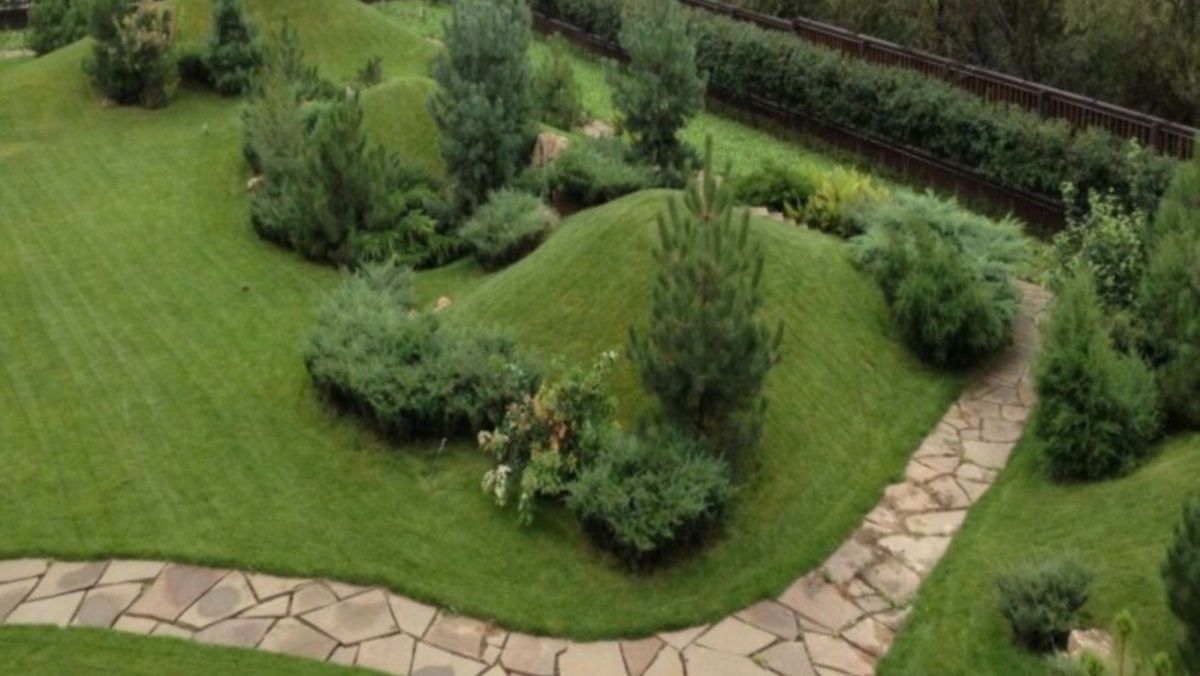 Садят сосны по 16 тысяч долларов: чья фирма и где в Харькове построит декоративные холмы