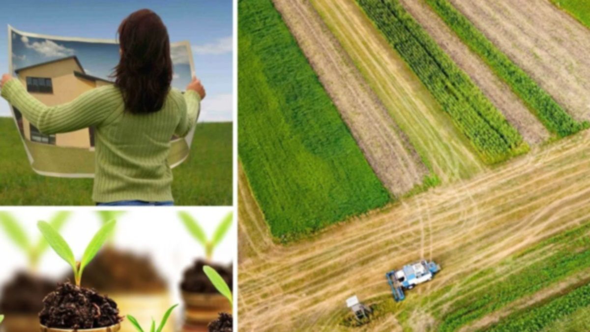 Кабмин хочет отменить право на бесплатные 2 га земли: в Днепре адвокат пояснил, чего ждать украинцам