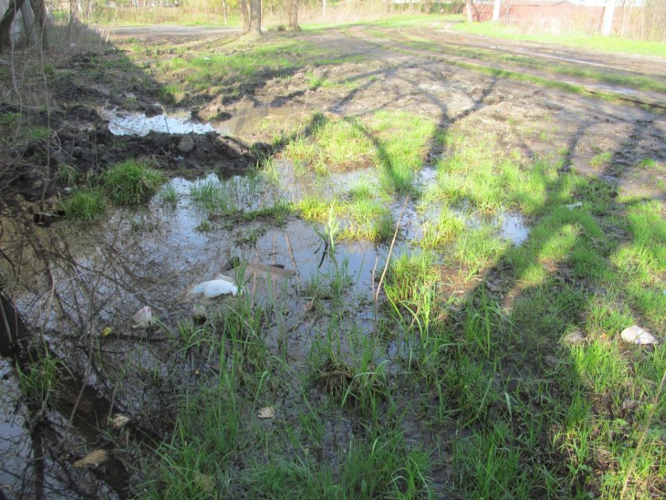 Театру здание, маршрутки и запрет стройки: что жители Днепра просили у Филатова за месяц 3