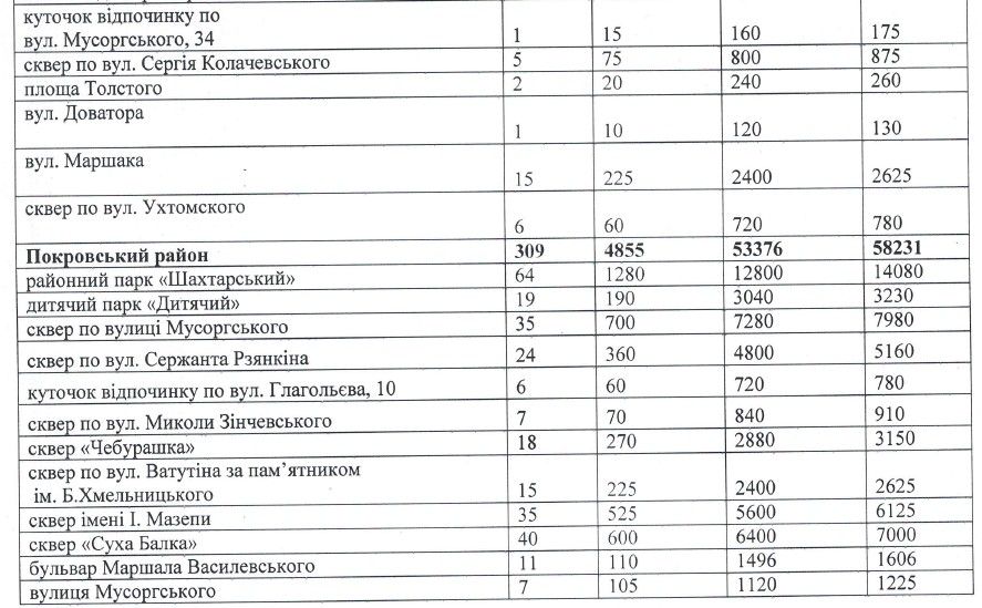 В Кривом Роге мэрия отдаст за уборку урн 4,4 миллиона бизнесвумен, связанной с депутатом Смелым 3