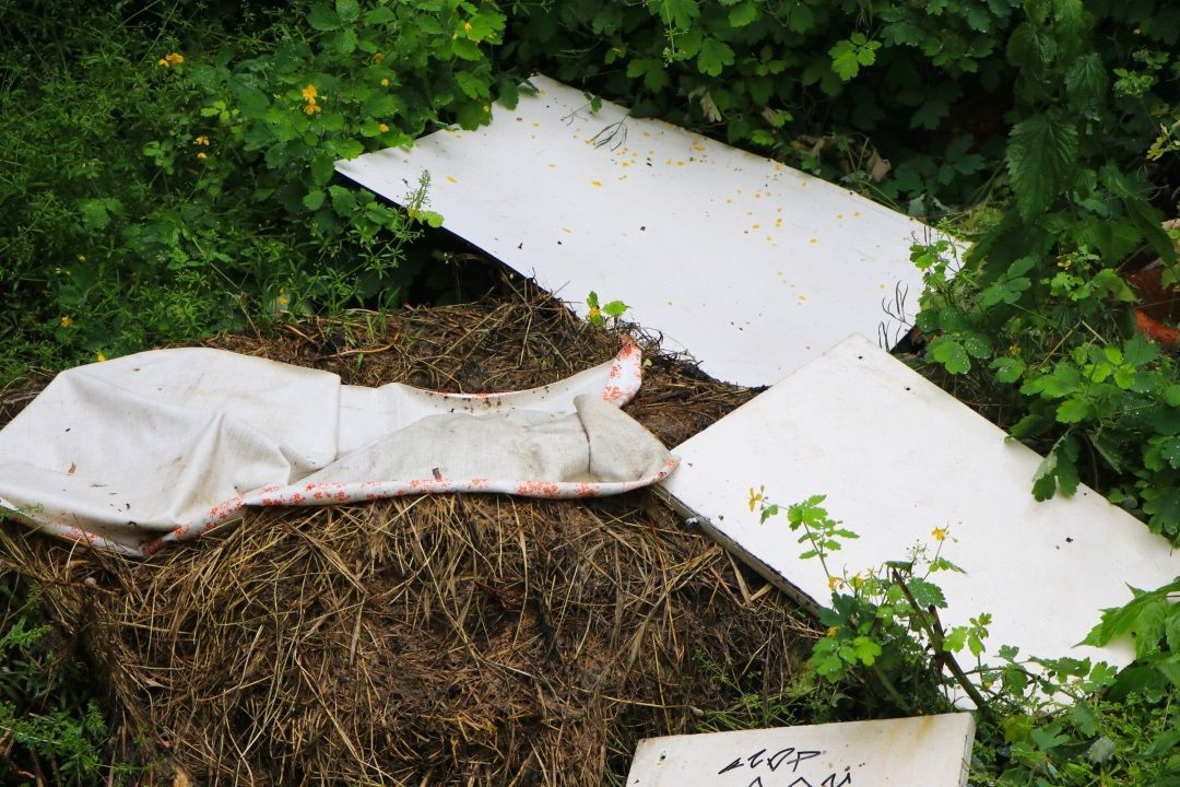 В парках горожане любят оставлять мусор