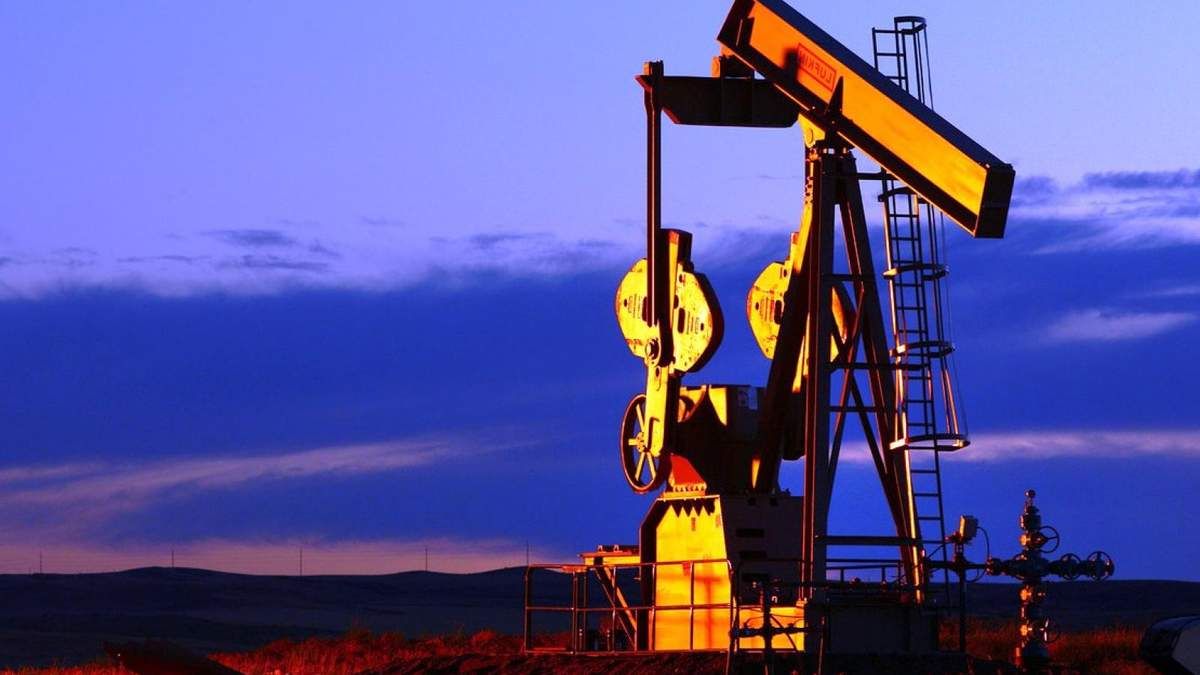 В Днепре адвокат рассказал, как гражданам воспользоваться недрами Украины и кому они принадлежат