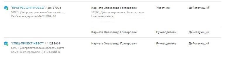 Дышите глубже: в Каменском фирма близкая к заммэра Саусю вырежет деревья за 16 млн грн 2