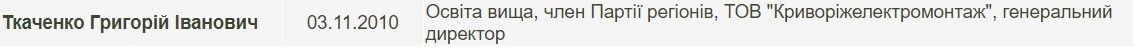 Электросетями Кривого Рога за 7,5 миллиона займется фирма экс-депутата: ее подозревают в хищениях 4