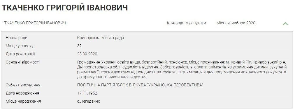 Электросетями Кривого Рога за 7,5 миллиона займется фирма экс-депутата: ее подозревают в хищениях 6
