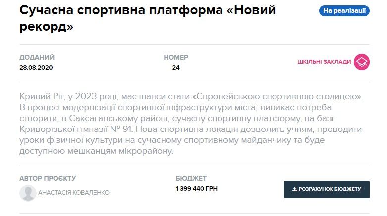 Где в Кривом Роге появится спортивная платформа «Новый рекорд» за 1,3 млн и что там будет 2