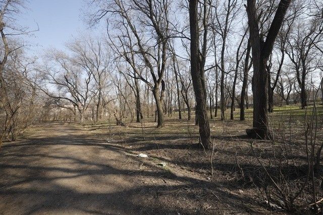 В Днепре за 55 миллионов отремонтируют сквер у Дворца Ильича: что там сделают 1