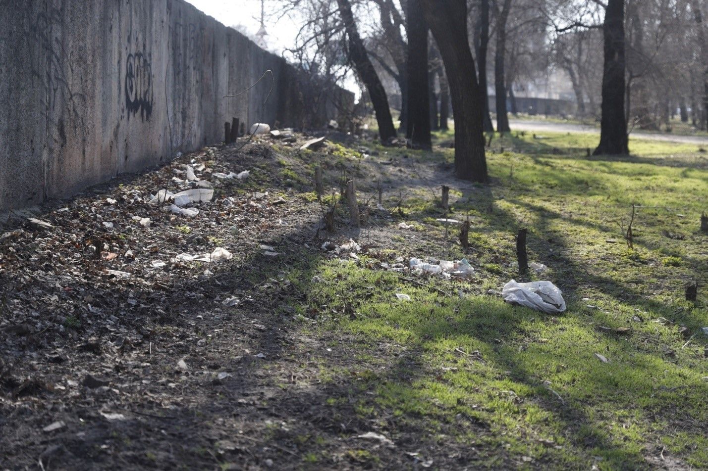 В Днепре за 55 миллионов отремонтируют сквер у Дворца Ильича: что там сделают 4