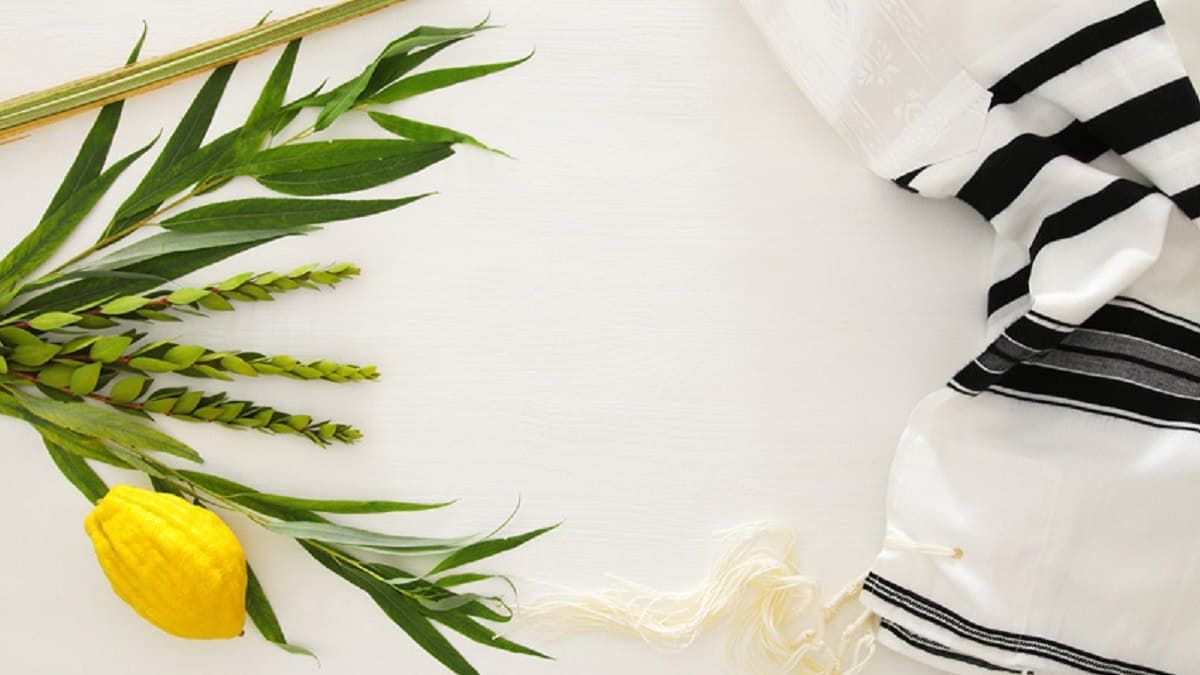 СУККОТ УКРАИНА: создайте креативный макет праздничного шалаша и выиграйте iPhone 12, iPad Pro 11 или Apple Watch