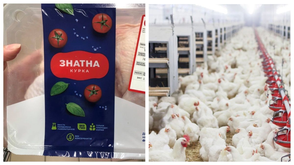 Под Никополем «Знатна курка» проведет ремонт птицекомплекса: какой может быть вред людям и природе