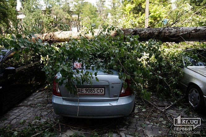 В Кривом Роге водители выиграли суд с коммунальщиками и получат компенсацию: в чем дело 1