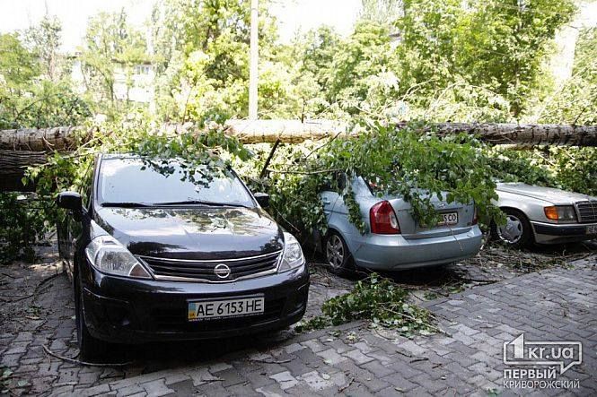 В Кривом Роге водители выиграли суд с коммунальщиками и получат компенсацию: в чем дело 2