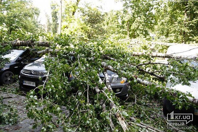 В Кривом Роге водители выиграли суд с коммунальщиками и получат компенсацию: в чем дело 3