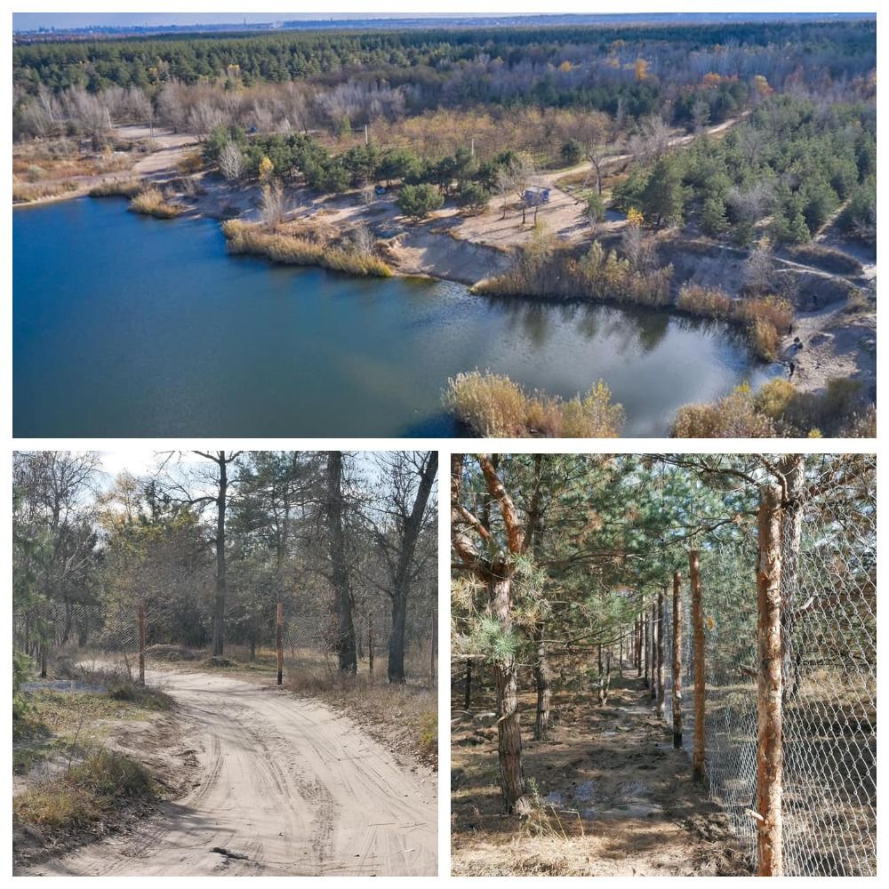 Кому и как экс-губернатор Москаленко отдал лес под Днепром 1