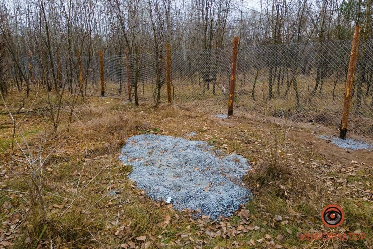 Захват леса под Днепром: принудительный договор и компенсация за испорченный лес 5