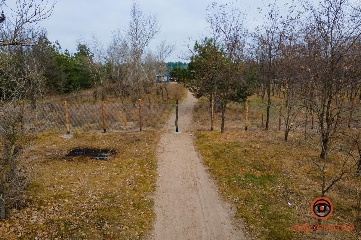 В октябре этого года в лесу появился забор