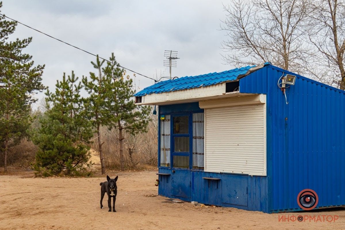 Захват леса под Днепром: принудительный договор и компенсация за испорченный лес 13