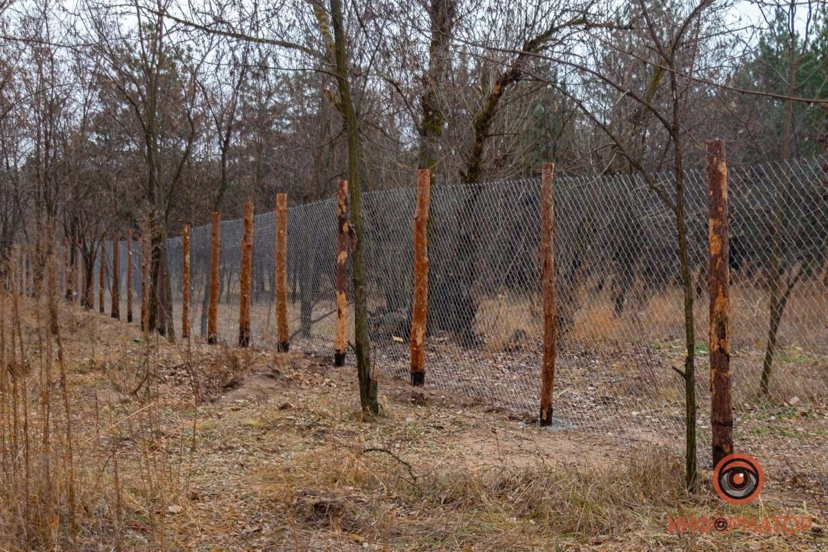 Нет никакой информации о планах застройщика