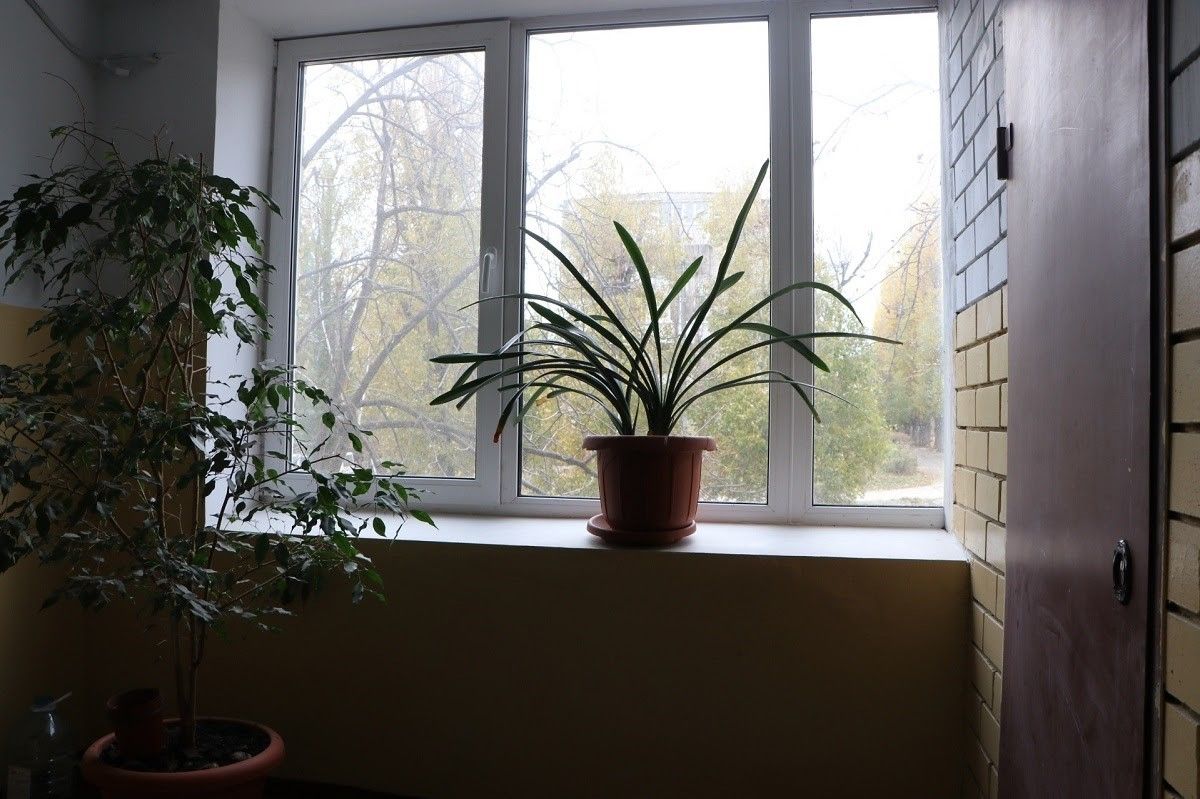 Теплее в домах, больницах, школах и огромная экономия денег: как мэрия Днепра внедряет энергоэффективность 13