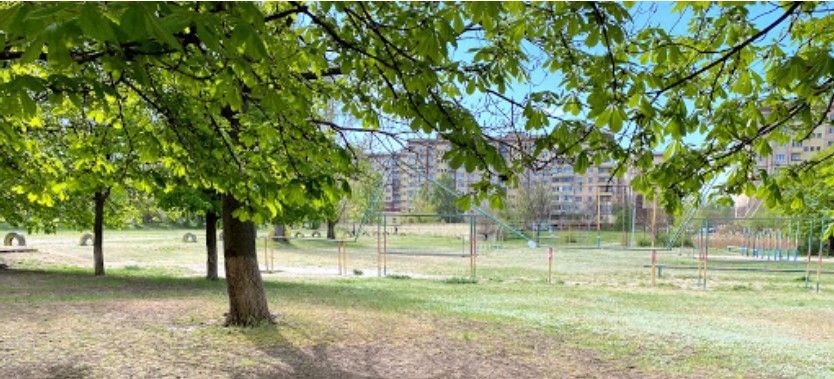 В Кривом Роге для школы купили тренажеры за 1,3 млн по завышенным ценам: сколько и кто «наварит» 1