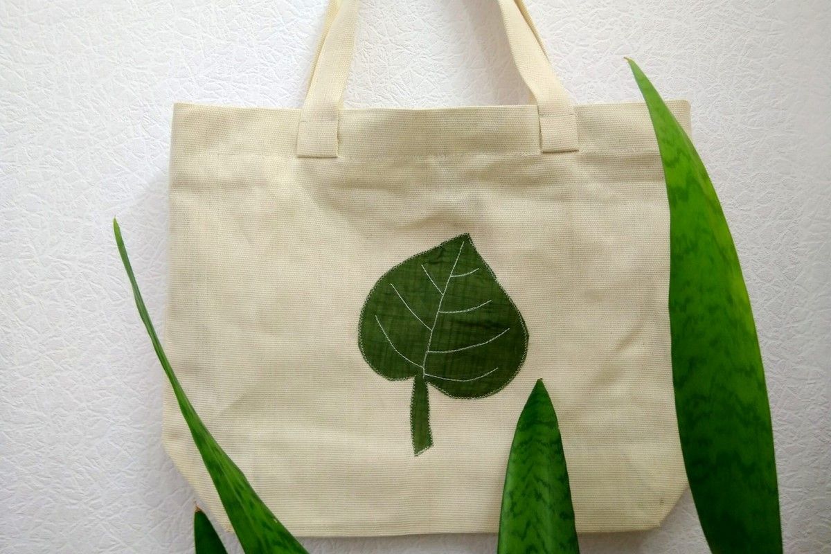 С декабря в Украине исчезнут бесплатные «кулечки»: чем их заменить и куда деть оставшиеся пакеты 4