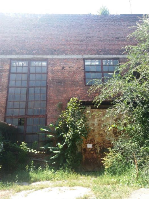 В Днепре выставили на продажу завод строительных кранов: сколько стоит 1