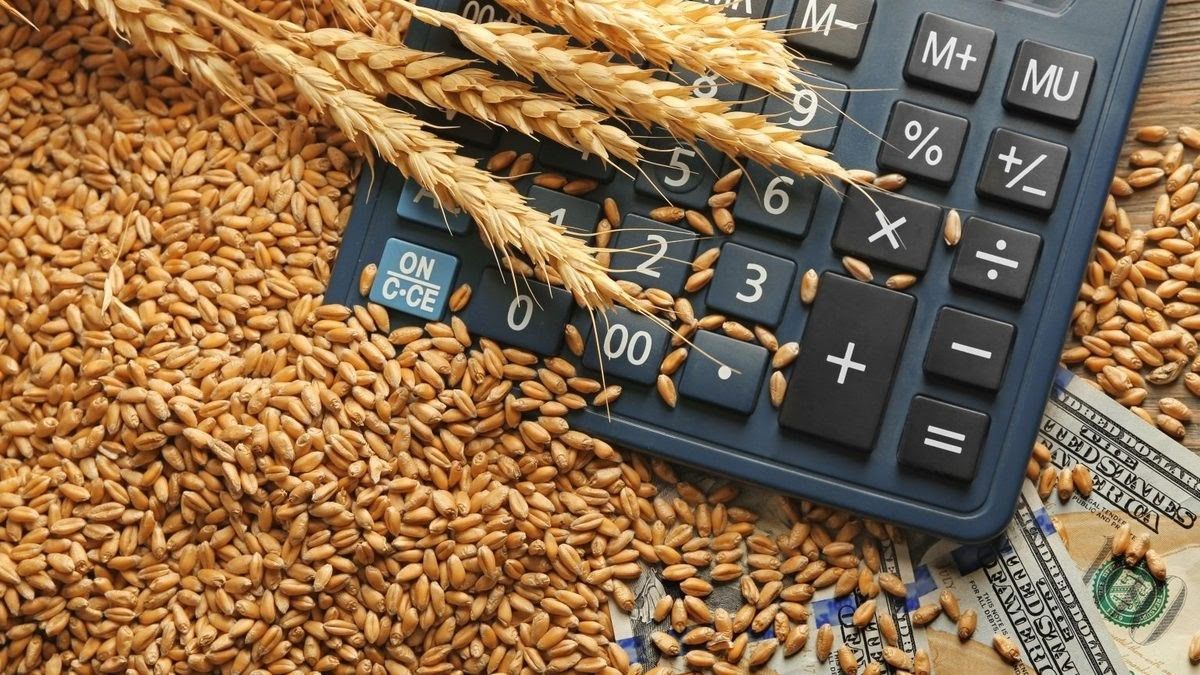 Какой будет пенсия в 2023 году и почему сейчас дорожают продукты: интервью с Данилом Гетманцевым 1