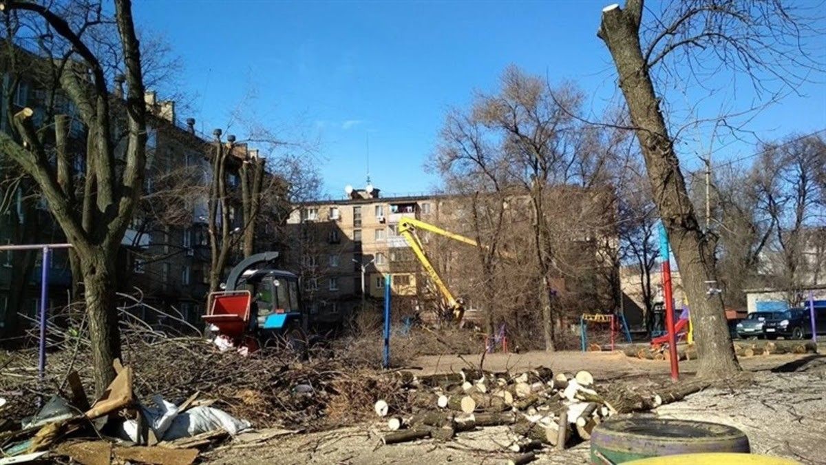 Как в Киеве убрать сухостойное дерево во дворе и сколько это будет стоить