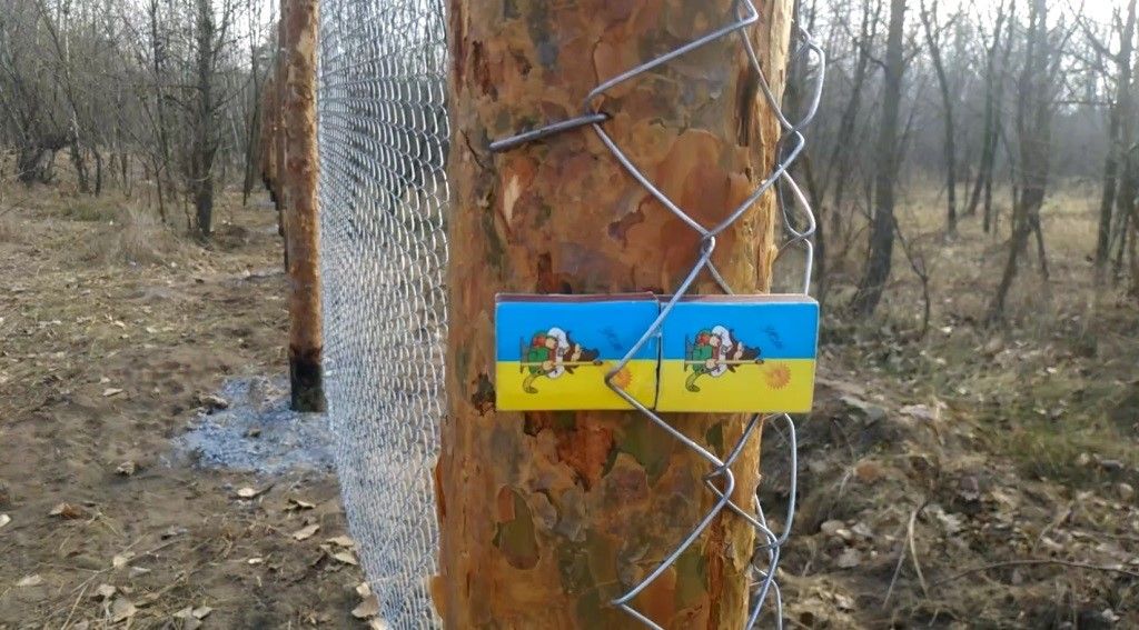 Бюджет участия, запустить аэропорт, спасти лес, запрет петард: что в Днепре просили у Филатова за месяц 2