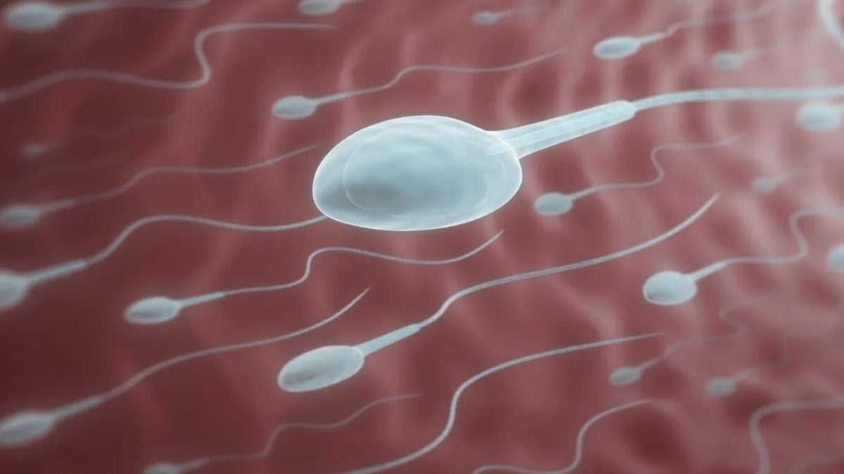 Зачем государственные предприятия в Киеве и по всей Украине закупают сперму и сколько за нее платят