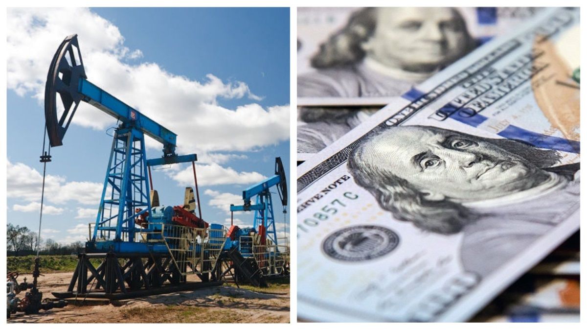 Кто, где и до какого года будет добывать нефть и газ в Днепропетровской области: данные реестров