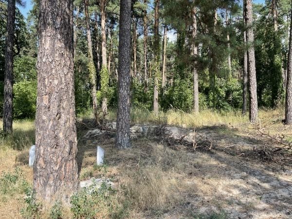 Участок на ул. Литинской