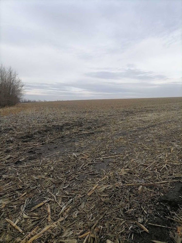 Земля в аренду