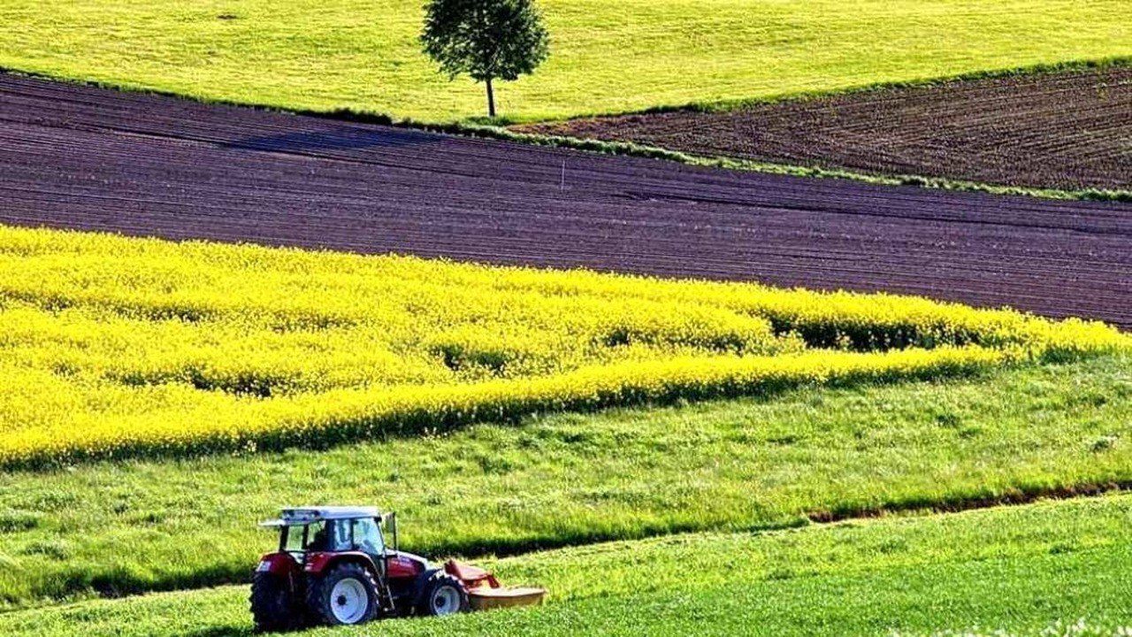 Сколько украинской земли в аренде и собственности россиян, у каких фирм больше: исследование