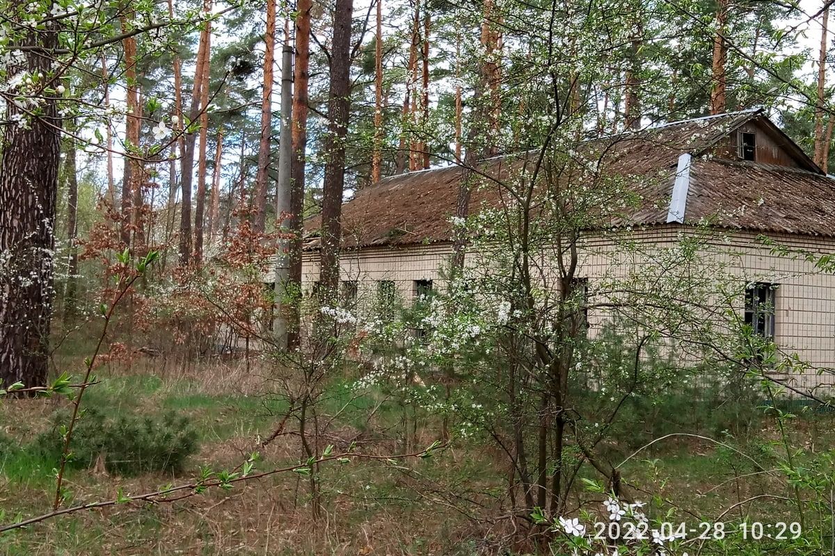 В Ірпені знову намагаються продати табір «Сокіл» 1